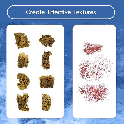 NAROA Artist Natural Sea Sponges for Painting 8 Pack | Unbleached Unique Art Tool Set | Suitable for Acrylic Watercolor, Marbling, Texturing, Pottery, Ceramics