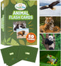 50 Animal Flash Cards - Realistic Photo Cards - Fun Vocabulary Builder for Autisim, Speech Therapy, ESL, Occupational Therapy - Montessori Educational Games for Preschool Kids Learning Activity