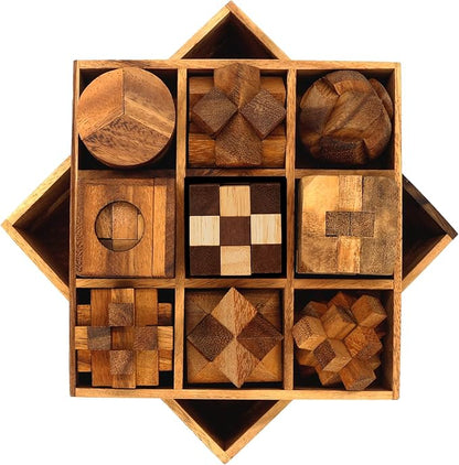 BSIRI 9 in 1 Wooden Brain Teaser Puzzles for Adults Teens and Kids Box Set for All Ages Wood Hard Level 10 Impossible Mind Wood Brain Teaser Games 3D Hand Puzzle Sets for Decoration and Mini Toys