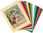 ZBEIVAN 12 Packs Mixed Colors 11x14 Picture Frame Mats for 8.5x11 Photos, Artworks and Prints, White Core Bevel Cut Frame Mattes