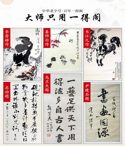 MEGREZ Yidege Practice Ink Chinese Brush Ink Sumi Ink for Beginner Practice Chinese Japanese Calligraphy Liquid Ink, Black - 250ml(8.8 OZ)/Bottle