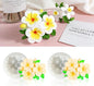 2Pcs Frangipani Flower Candle Wax molds Silicone Shapes for Wax Candles Making Valentine Flower Silicone Large Candle Wax Making molds for Candles moldes de silicona Flores para velas