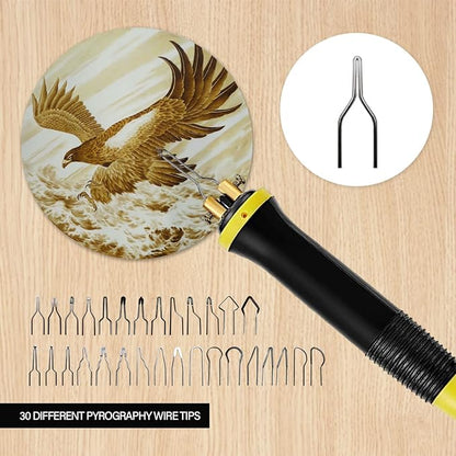 FIRElood Wood Burning Tool,Wood Burning kit Pen 25~750℃,Professional Wood Burning kit,with Digital Thermometer Temperature Adjustable Temperature,1 Wood Burning pens, 30 Wood Burning Pen Tips