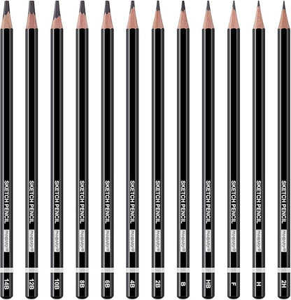 PANDAFLY Professional Drawing Sketching Pencil Set - 12 Pieces Graphite Pencils(14B - 2H), Ideal for Drawing Art, Sketching, Shading, Artist Pencils for Beginners & Pro Artists