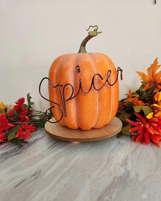 Wire Craft Kit for Adults, Teens Halloween DIY Wire Art Crafts Set for Home Gatherings, Birthday Party Group, Holiday Parties, Women Birthday, Mother's Day Gifts, Handmade Home Decor (Halloween)