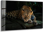 My Photostation.com 20Wx14H'' Fierce Leopard Glass Wall ArtTempered Glass Printing Wall Decor Large Wall Art Wall Hangings
