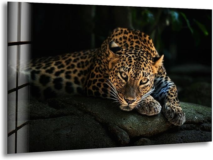 My Photostation.com 35.5Wx30H'' Fierce Leopard Glass Wall ArtTempered Glass Printing Wall Decor Large Wall Art Wall Hangings
