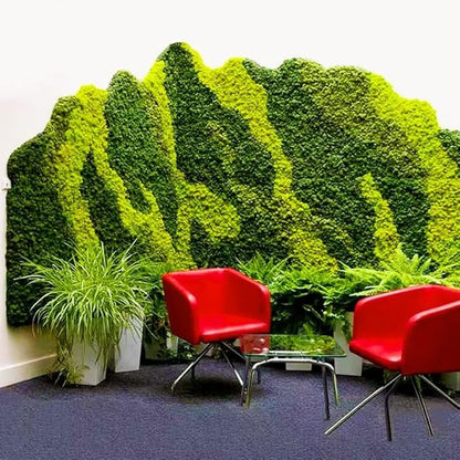 Preserved Reindeer Moss Natural Green DIY Kit Gardenning Art Wall Decor Florist Decor Easter Table Decor Wedding
