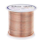 12 Gauge(2mm) Aluminum Wire 35 Yards Anodized Metal Wire for Bonsai Armature Crafting Sculpting Jewelry Craft Making Beading Floral (Copper, 12 Gauge)