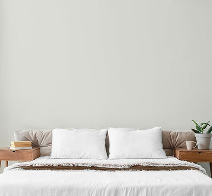 EVOLVE Paint & Primer: Environment-friendly, Low Sheen with One-coat Coverage for Interior & Exterior surfaces (Antique White, 1-Gallon)