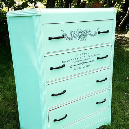 Chalky Chicks All-in-One Chalk Paint for Furniture or Cabinet - 32 Fl Oz - Matte Finish Wintergreen (Mint) for Metal, Wood Furniture Paint - No Sanding All-in-One for Home Decor & Crafts, USA Made