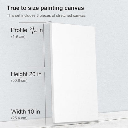 PHOENIX 10x20 Inch 3 Pack Artist Canvas - Long Rectangle Stretched Canvases for Painting - 3/4 Inch Profile, 100% Cotton 11 Oz. Gesso Primed White Blank Professional Canvas Oil & Acrylic Paints