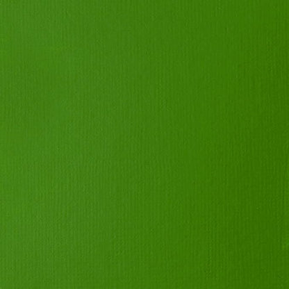 Liquitex BASICS Acrylic Paint, 250ml (8.5-oz) Tube, Light Green Permanent