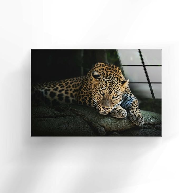 My Photostation.com Round 31,5'' Fierce Leopard Glass Wall ArtTempered Glass Printing Wall Decor Large Wall Art Wall Hangings