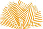 Flexicore Packaging Tangerine Orange Pin Stripe Print Gift Wrap Tissue Paper Size: 15 Inch X 20 Inch | Count: 10 Sheets | Color: Tangerine Pin Stripe