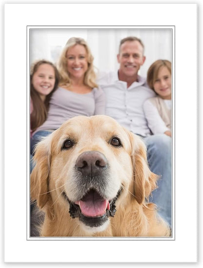 20x20 Mat for 12x12 Photo - Precut White on White Double Mat Picture Matboard for Frames Measuring 20 x 20 Inches - Bevel Cut Matte to Display Art Measuring 12 x 12 Inches - Acid Free ONE MAT