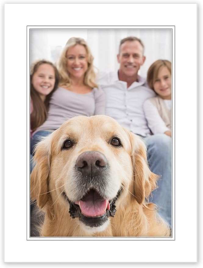 12x16 Mat for 8x12 Photo - Precut White on White Double Mat Picture Matboard for Frames Measuring 12 x 16 Inches - Bevel Cut Matte to Display Art Measuring 8 x 12 Inches - Acid Free ONE MAT