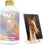 Acrylic Varnish, Professional Matte Varnish for Acrylic Painting, Seals and Protects Artworks, Non-Toxic, Art Acrylic Paint Sealer for Handmade Artists, Painter & Kids (200ml/Matte)