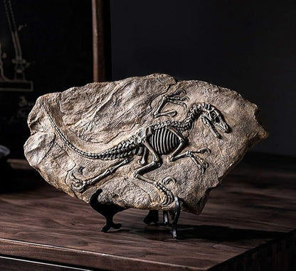 XINDAM Resin Dinosaur Fossil Statue Model Simulated Skeleton Home Office Display Decorative Craft Box Decoration (Style 2)
