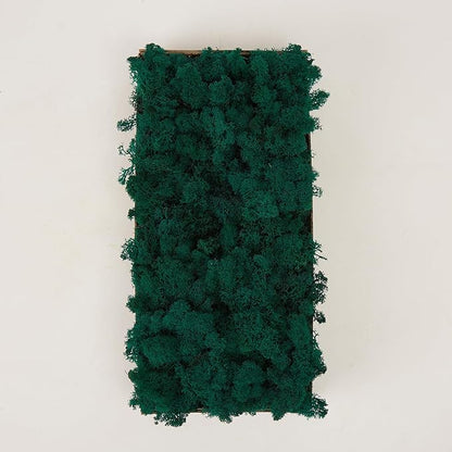 Preserved Reindeer Moss Natural Green DIY Kit Gardenning Art Wall Decor Florist Decor Easter Table Decor Wedding