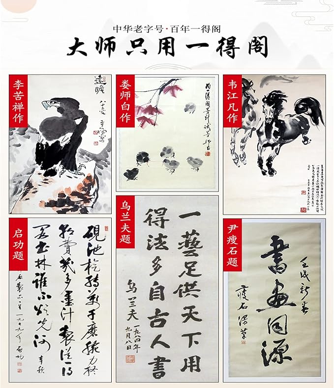 MEGREZ Yidege Refined Ink Chinese Brush Ink Liquid Ink for Professional Traditional Chinese Japanese Calligraphy Writing and Drawing, Calligrapher Choice, Dark Black, 17.6 OZ(500ml)/Bottle