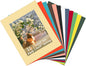 ZBEIVAN 12 Packs Mixed Colors 11x14 Picture Frame Mats for 8x10 Photos, Artworks and Prints, White Core Bevel Cut Frame Mattes