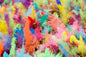 ColorMarathon(TM) Premium Quality non-toxic HOLI Colors color powder - 12 Lbs (6 colors X 2lbs Ea color) RED, YELLOW, PINK, BLUE, GREEN, AND PURPLE - SHIPS FROM USA
