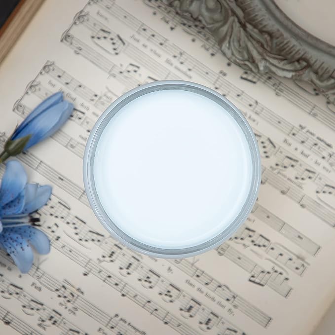 Dixie Belle Paint Company Chalk Finish Furniture Paint - Haint Blue (4oz) - Matte Pastel Blue Chic Chalk Mineral DIY Furniture Paint