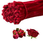 100 Pieces Pipe Cleaners Chenille Stem, Burgundy Color Pipe Cleaners Set for Pipe Cleaners Christmas DIY Arts Crafts Decorations, Chenille Stems Pipe Cleaners (Burgundy)