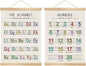 Alphabet and Numbers Wall Chart Set of 2 ,Kids Educational Posters,ABC and 1-20 Number Learning Banners for Toddlers, Preschool Classroom, Nursery, Playroom Decor 14 x 18.5 Inch(Colorful)