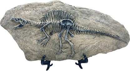 XINDAM Resin Spinosaurus Dinosaur Fossil Statue Model Simulated Skeleton Home Office Display Decorative Craft Box Decoration (Style 8)
