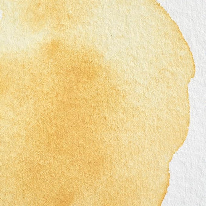Winsor & Newton Professional Water Colour Paint, Half Pan, Naples Yellow