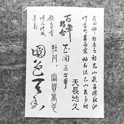 TIAMECH A4 Reusable Chinese Calligraphy Stencil for Painting - National Beauty Heavenly Fragrance Layering Template, DIY Wall Art, Wood Furniture, Scrapbook & Crafts (8.3x11.7inch)