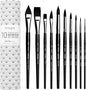 ARTEGRIA Watercolor Brush Set, 10 Professional Soft Synthetic Squirrel Paint Brushes, Including Pointed Rounds, Flats, Dagger, Oval Wash
