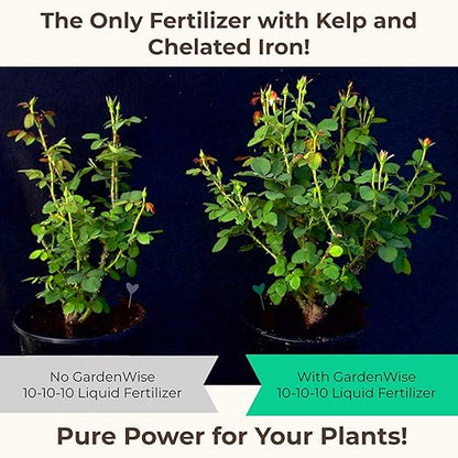 10-10-10 All Purpose Plant Food - Liquid Fertilizer with Seaweed Kelp & Iron - Indoor & Outdoor Plant Food, Vegetables, Flowers, Lawn & Garden 1x32oz