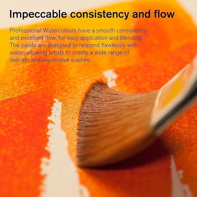 Winsor & Newton Professional Water Colour Paint, 0.17-oz Tube, Caput Mortuum Violet