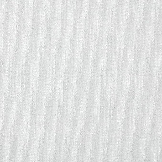 Centurion Deluxe Professional Oil Primed Linen Stretched Canvas, 11oz Linen, 14x18 - Box of 6, 0.67" Deep Canvases, Kiln-Dried Stretchers, Back Stapled, Premium Medium Weight Canvas for Oil Paintings