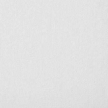 Centurion Deluxe Professional Oil Primed Linen Stretched Canvas, 11oz Linen, 14x18 - Box of 6, 0.67" Deep Canvases, Kiln-Dried Stretchers, Back Stapled, Premium Medium Weight Canvas for Oil Paintings