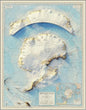Muir Way Shaded Relief Elevation Map of Antarctica - Vintage-Style Topographic Wall Art with Map Look - Unframed Flat Paper Print, 20x26