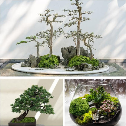 Fake Green Moss for Potted Plants, 10.6OZ Moss Decor Artificial Faux Moss for Crafts Preserved Moss for DIY Decorative Moss Table Centerpieces Decor Fairy Garden Floral Wedding (300g) (Dark Green)