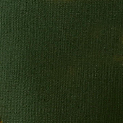 Liquitex BASICS Acrylic Paint, 250ml (8.5-oz) Tube, Hooker’s Green Hue Permanent