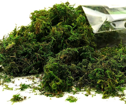 Moss for Plants Indoor, 16OZ Fresh Green Artificial Moss for DIY Crafts, Table Centerpieces- Faux Grass for Hamsters Micro-Landscape Terrariums Centerpieces Decor (Fresh Green)