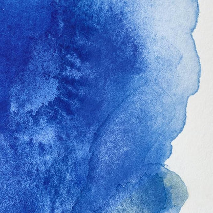 Winsor & Newton Professional Water Colour Paint, Half Pan, Ultramarine Green Shade