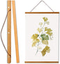 WITCOLOR Magnetic Poster Hanger Frame, Teak Magnet Poster Frames 9x11 9x27 9x12 9x13 Poster Holder for Paintings, Photos, Maps, Scrolls, Picture, Canvas Works and Christmas Prints