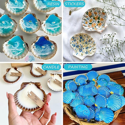 30PCS Scallop Shells for Crafts 2''-3'' Natural White Large Shells Decoration for DIY Craft Painting, Home Decor, Baking and Beach, Wedding Party Decoration