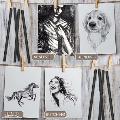 Gueevin 100 Pcs Willow Charcoal Sticks, Willow Charcoal, Artists, Beginners, Students, Perfect for Sketching, Drawing, Shading, and Fine Art Christmas Gifts for Art (2-4mm,4-5mm,5-7mm,7-9mm)