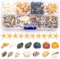 Premium Tiny Seashell Mix, Including Sea Shells, Sea Snails and Starfish Total 300+PCS (8 Kinds), Shells for Crafts Decorating Resin and Mosaics Projects DIY Crafts Home Decor Beach Themed Party