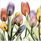 Empire Art Direct Frameless Free Floating Tempered Glass Panel Graphic Wall Art Ready to Hang, 24" x 24", Tulip Scape x-ray I