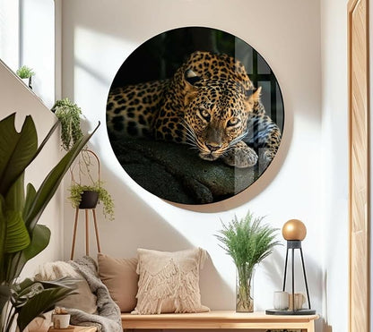 My Photostation.com 30Wx24H'' Fierce Leopard Glass Wall ArtTempered Glass Printing Wall Decor Large Wall Art Wall Hangings