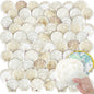 YOUKE OLA 72PCS Scallop Shells for Crafts Large Beach Natural Shells Bulk for Decoupage DIY Crafts Seashell Decorations Home Decor White 4''-4.5''